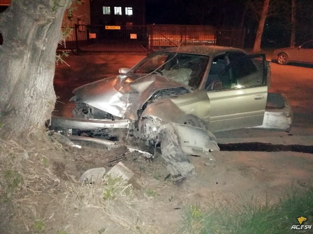 Toyota Carina влетела в дерево в Ленинском районе