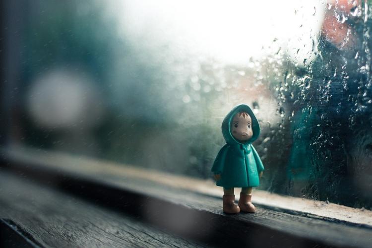 Ребёнка «выкинули» из автобуса в дождь в Приморье