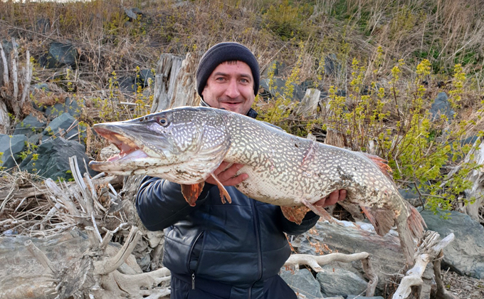 Рыба с крыльями и трехглазый окунь: шокирующие трофеи новосибирских рыбаков