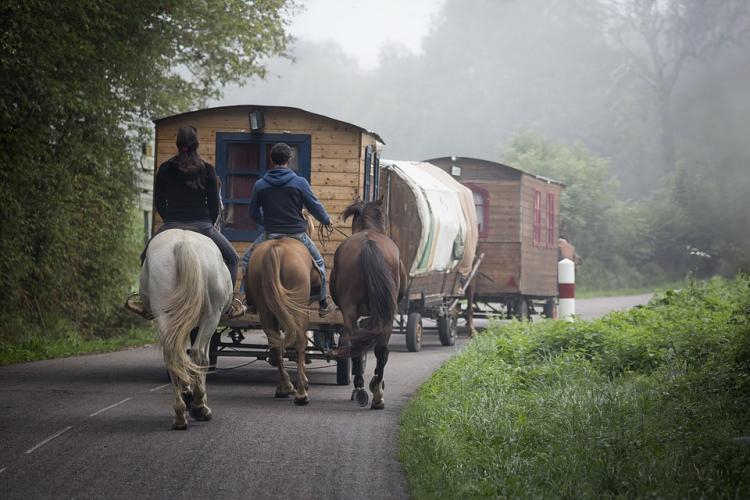 Лошадь и 12 цыган хотят покинуть Владивосток