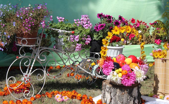 Чем удивляли садоводы на ярмарке в Куйбышеве
