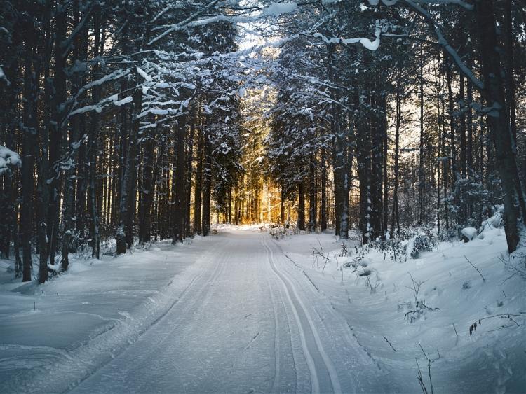 Эксперт рассказал, почему топить снег на российских дорогах нерентабельно