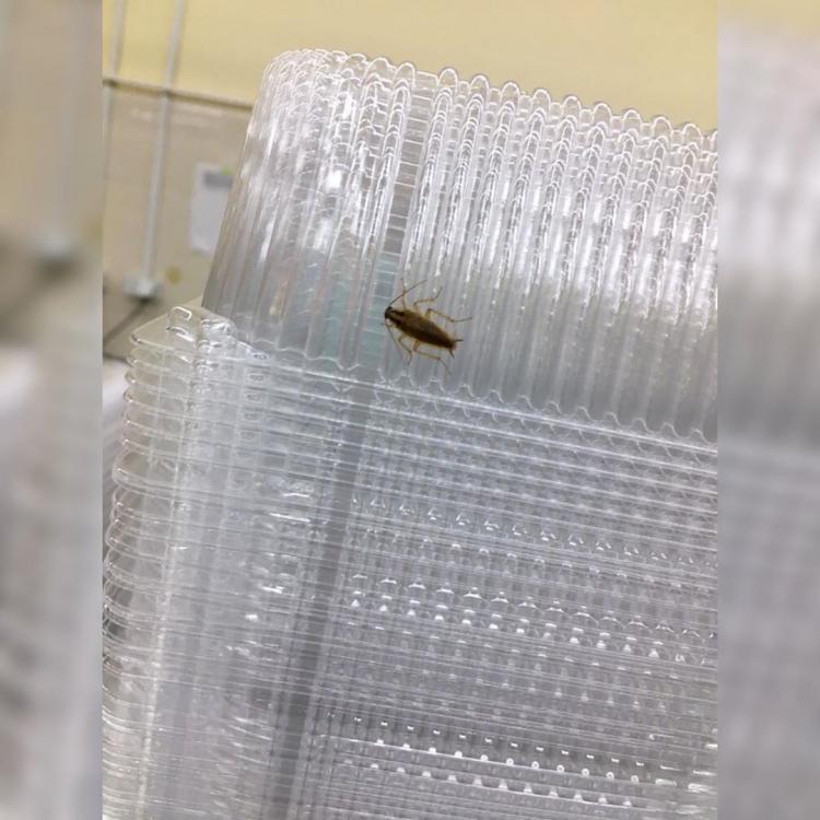 Изюмчик для плова: В супермаркете Владивостока заметили таракана возле еды