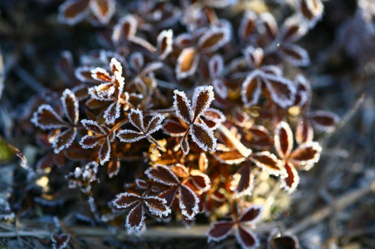В Приморье на выходных похолодает до −13 °C