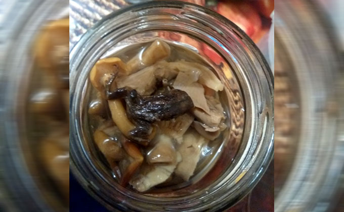 Маринованная лягушка в банке с грибами возмутила новосибирца