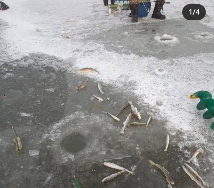Хрупкий лёд не останавливает приморских рыбаков