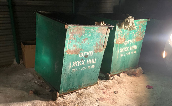 Расчлененную собаку выбросил в мусорку живодер в Новосибирске