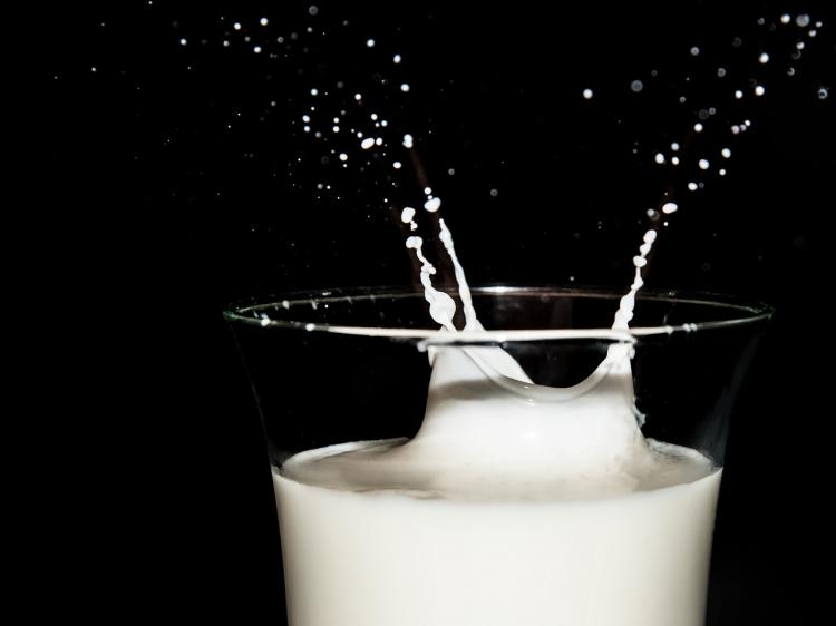 Молоко, кефир и сметану с плесенью нашли в Приморье
