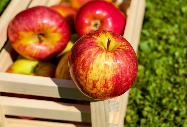 Диетолог рассказала, как извлечь максимальную пользу из яблок