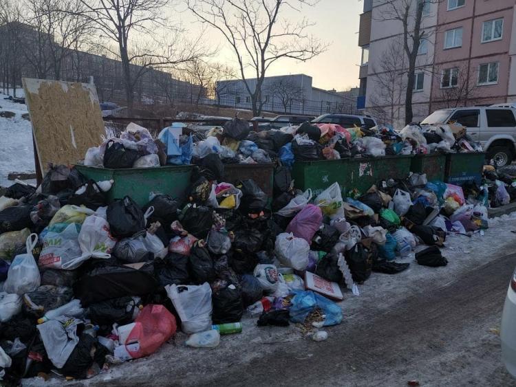 Приморские депутаты обсудят сбор и вывоз мусора