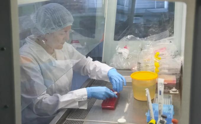 Десять за сутки - новый антирекорд по коронавирусу в Новосибирске