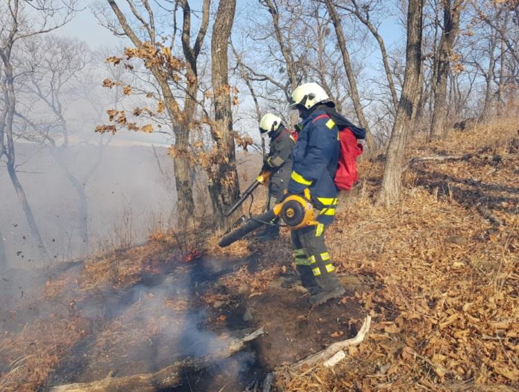 Особый противопожарный режим введен во Владивостоке