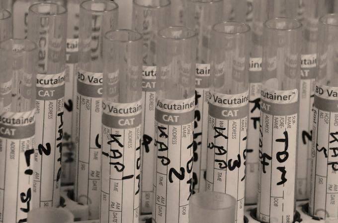 Тесты на коронавирус будут делать в новосибирском Биотехнопарке
