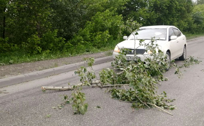 Шторм разбушевался в Новосибирске – ломает деревья и сносит велосипедистов