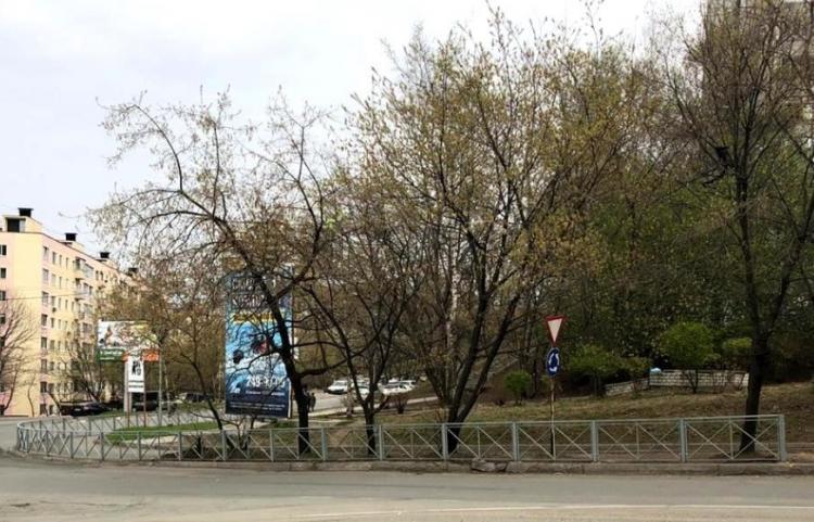 Во Владивостоке приступили к ликвидации очагов массовых ДТП
