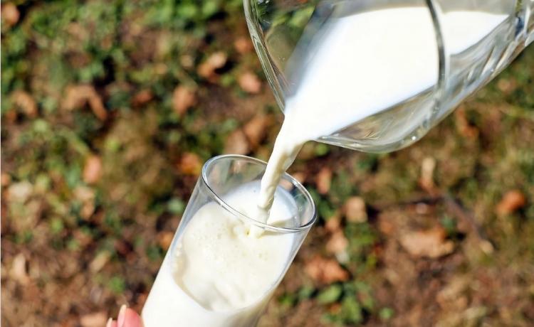 В Приморье выявлено опасное молоко