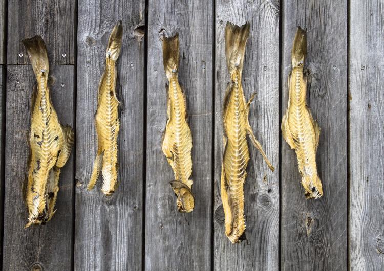 В Приморье запретили ввоз сушеной рыбы из КНР