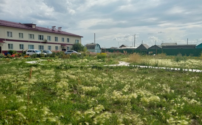 Травой зарос двор многоквартирника после благоустройства в Усть-Тарке