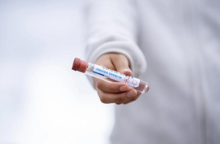 В Приморье проводят всё больше тестов на коронавирус