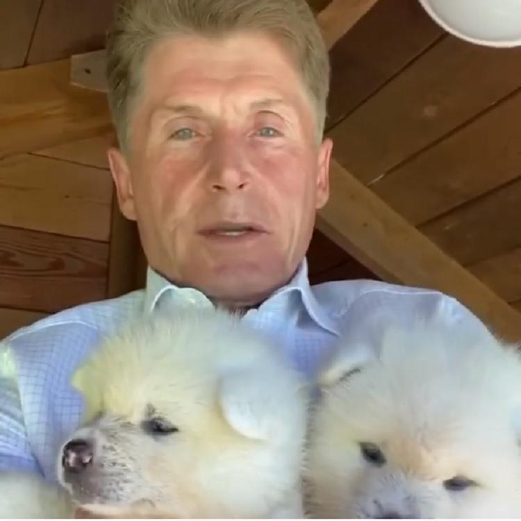 Олег Кожемяко подарил приморцам щенков