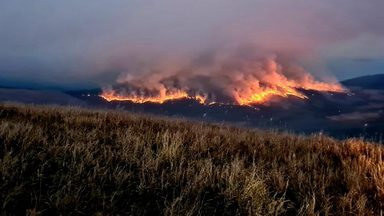 Масштабный пожар полыхал в заповеднике Приморья