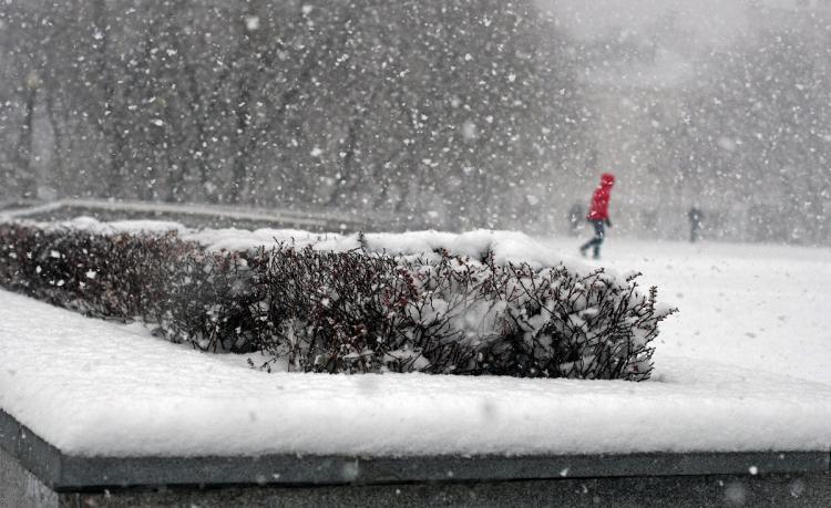 Главный синоптик Приморья порекомендовал уйти на «удалёнку» из-за снегопада