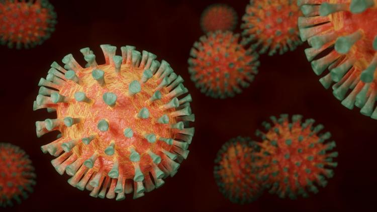 Роспотребнадзор прокомментировал данные о новом штамме коронавируса