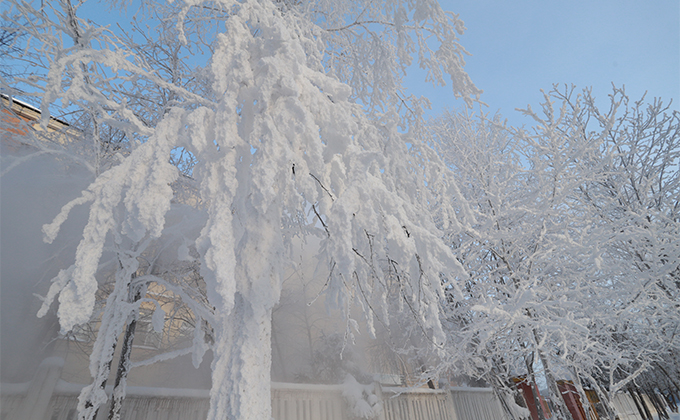 Морозы до -37 градусов ожидают жителей Новосибирской области