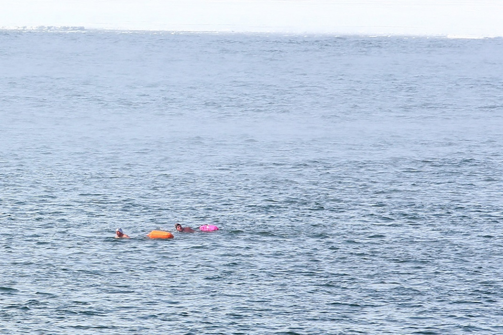 Новосибирцы в трусах переплыли Обь в честь 23 февраля