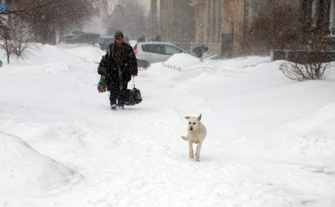 В Новосибирске устраняют последствия снежного урагана