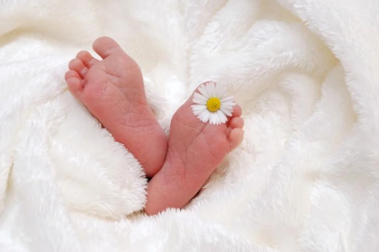 Беби-бум в Приморье: более 17 тысяч малышей родились в 2020 году