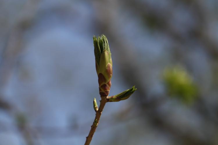 Весна не за горами: синоптики дали прогноз на вторую половину февраля