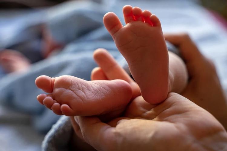 Названы самые редкие и самые популярные имена новорожденных в Приморье