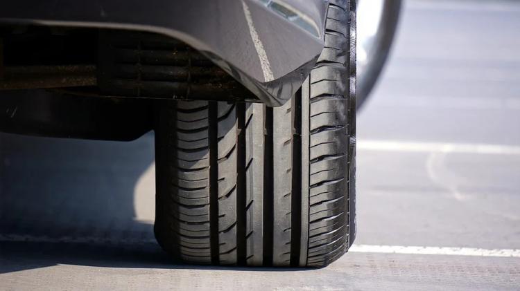 «Лезут под колеса»: владелец авто рассказал о раздражающей его проблеме