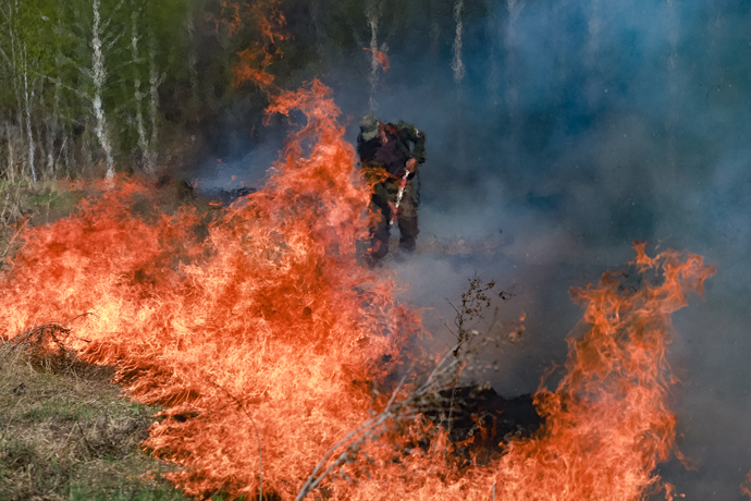 Увидели – погасили: как система мониторинга помогает быстро тушить лесные пожары в Новосибирской области
