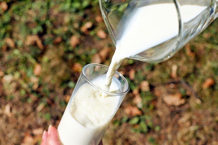 Российские производители пожаловались на низкие цены на молоко