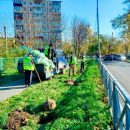 Во Владивостоке появляются новые аллеи и зелёные уголки