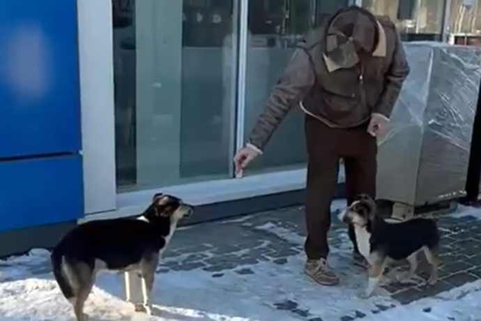 В Новосибирске бродячая собака цапнула за палец Александра Розенбаума
