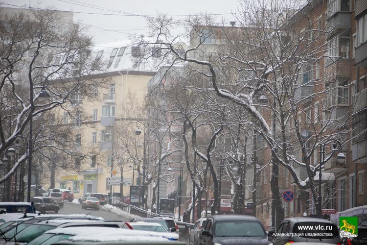 Снег с дождём ожидается во Владивостоке в пятницу