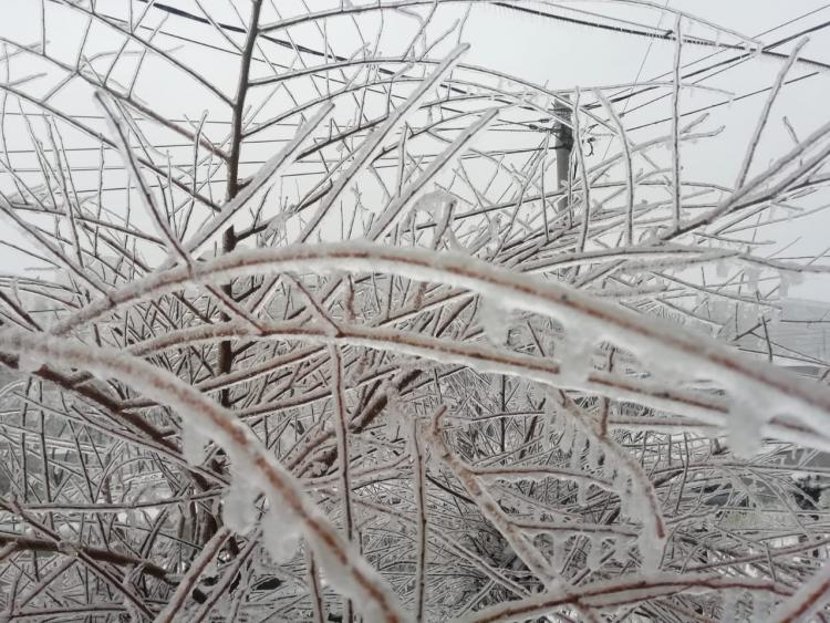 Ледяной дождь во Владивостоке: погода сильно ухудшится