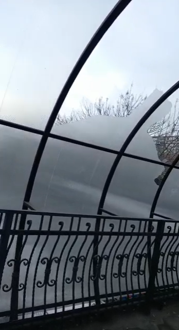 Житель Владивостока рассказал о состоянии надземного перехода у «Зари»