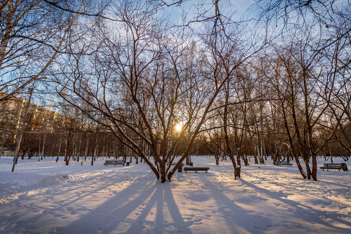 С надеждой на солнце: погода в Новосибирске на выходные 25-26 декабря 2021