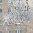 На выходных в Приморье похолодает до -38° С