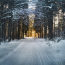 Во Владивостоке вечером пройдет небольшой снег