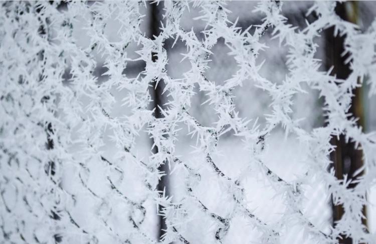 До -40°С: Суровые морозы придут в Приморье