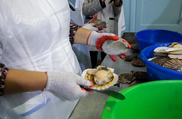 Производство аквакультуры в Приморье увеличилось до 56 тонн