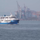 На Дальнем Востоке орудовали наркодилеры из Приморья