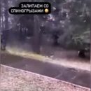 В Златоусте учитель начальных классов выкладывала в сеть провокационные видео с учениками В Златоусте учитель начальных классов выкладывала в сеть провокационные видео с учениками