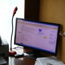 Главные минусы работы на дому назвали новосибирцы