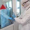 176 случаев COVID-19 выявили в Новосибирской области 29 ноября